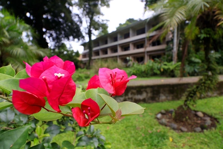 Hotel Recommendation #6